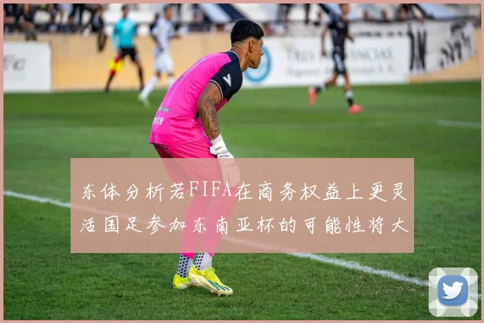 东体分析若FIFA在商务权益上更灵活国足参加东南亚杯的可能性将大增