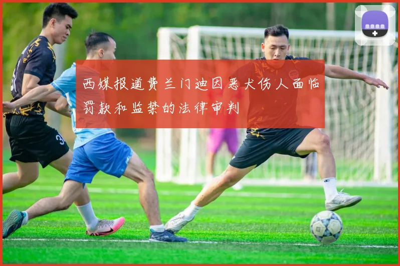 西媒报道费兰门迪因恶犬伤人面临罚款和监禁的法律审判